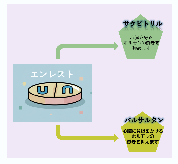 新しい心不全治療薬「エンレスト（ARNI）」を導入するときの注意点の画像
